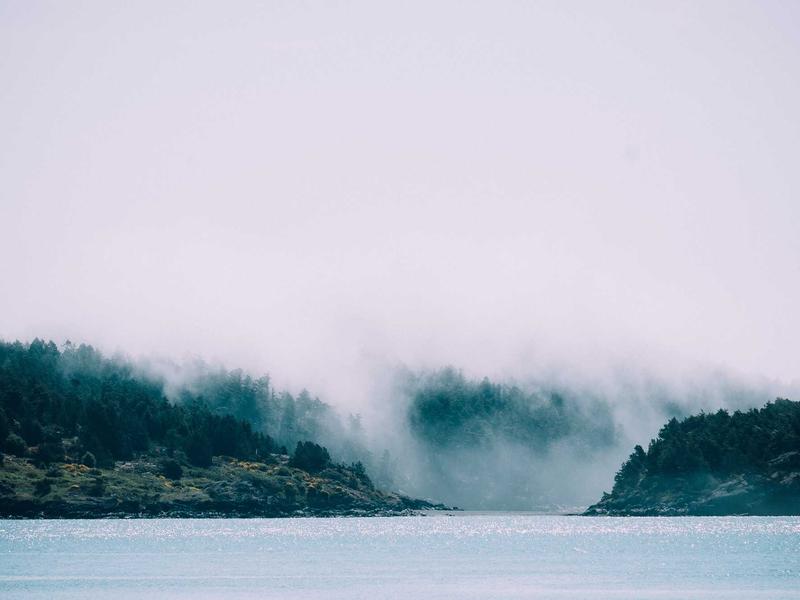 sudoku focus mode screenshot 5