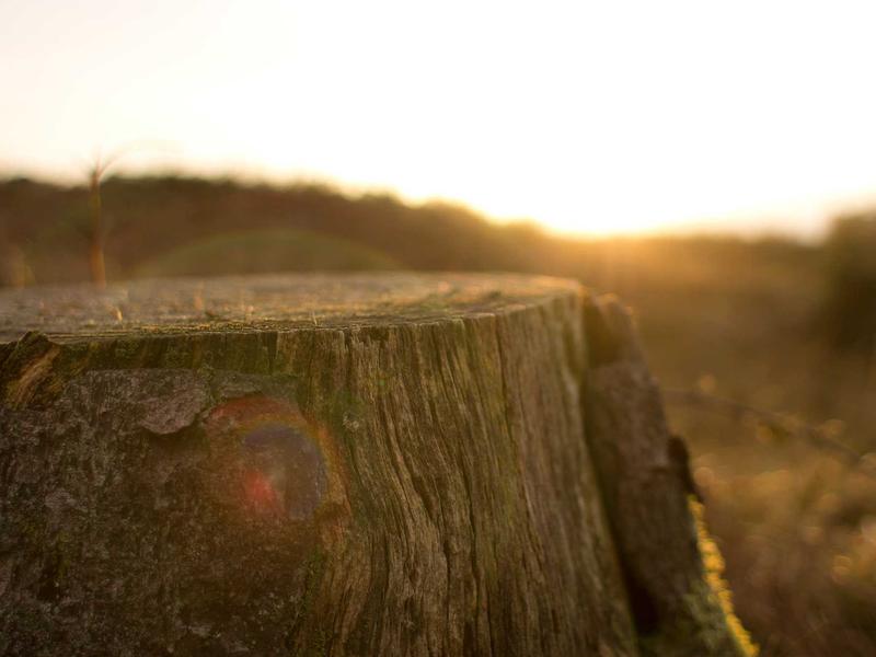 sudoku problem solving screenshot 4